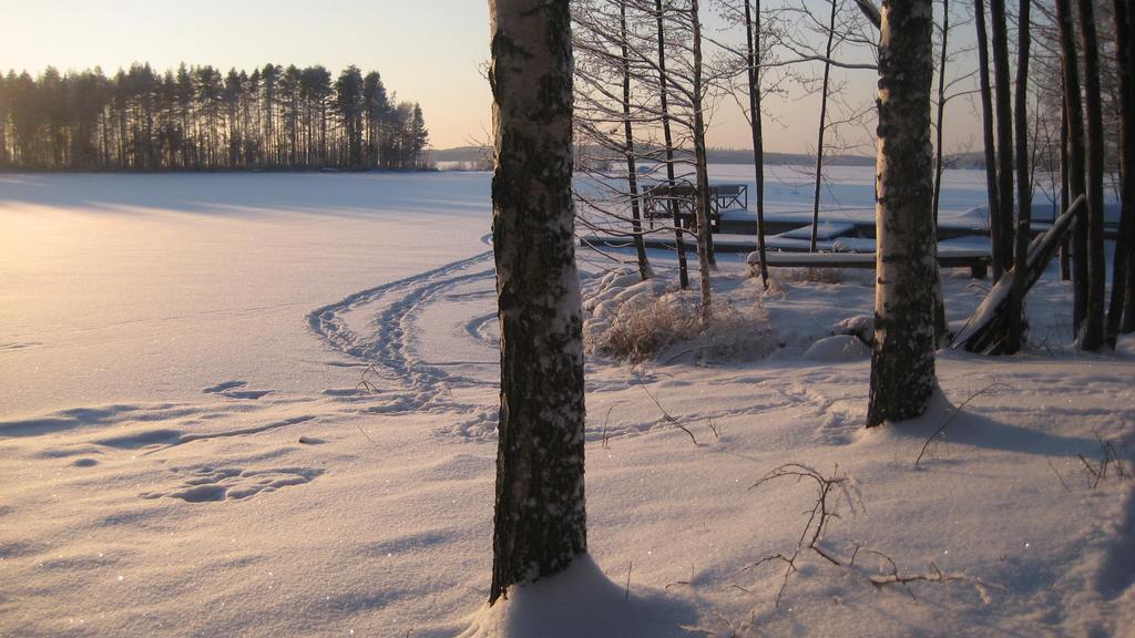 Nestorinranta Resort Линтусало Экстерьер фото